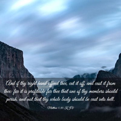Picture 03 - Matthew 5:30 KJV - And if thy right hand offend thee, cut it off, - Bible Verse Picture