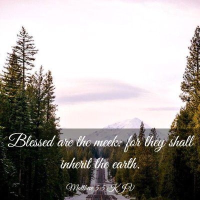 Picture 03 - Matthew 5:5 KJV - Blessed are the meek: for they shall inherit the - Bible Verse Picture