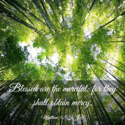 Picture 03 - Matthew 5:7 KJV - Blessed are the merciful: for they shall obtain - Bible Verse Picture