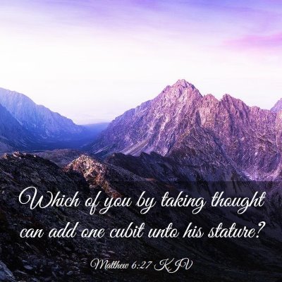 Picture 03 - Matthew 6:27 KJV - Which of you by taking thought can add one cubit - Bible Verse Picture
