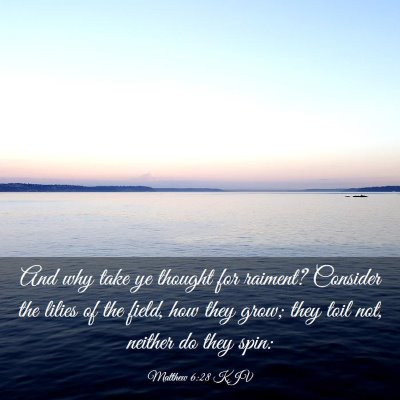 Picture 03 - Matthew 6:28 KJV - And why take ye thought for raiment? Consider the - Bible Verse Picture