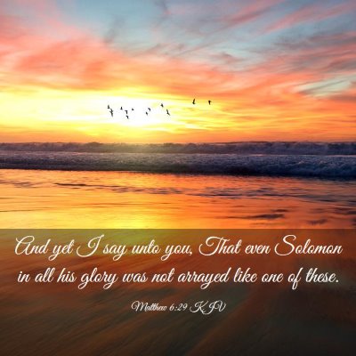 Picture 03 - Matthew 6:29 KJV - And yet I say unto you, That even Solomon in all - Bible Verse Picture