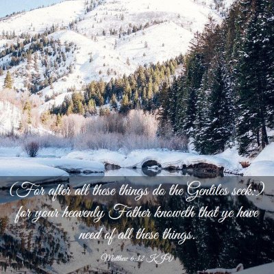 Picture 03 - Matthew 6:32 KJV - (For after all these things do the Gentiles - Bible Verse Picture