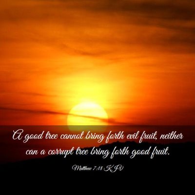 Picture 03 - Matthew 7:18 KJV - A good tree cannot bring forth evil fruit, - Bible Verse Picture