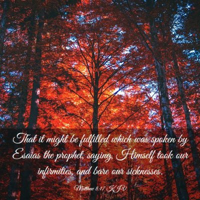 Picture 03 - Matthew 8:17 KJV - That it might be fulfilled which was spoken by - Bible Verse Picture