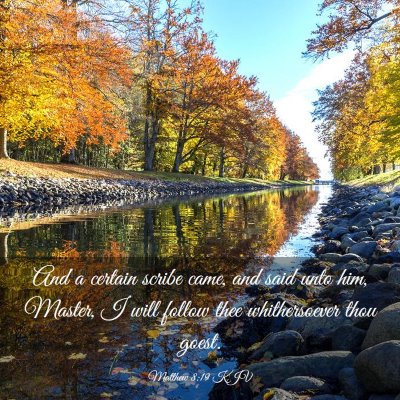 Picture 03 - Matthew 8:19 KJV - And a certain scribe came, and said unto him, - Bible Verse Picture