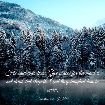 Picture 03 - Matthew 9:24 KJV - He said unto them, Give place: for the maid is - Bible Verse Picture