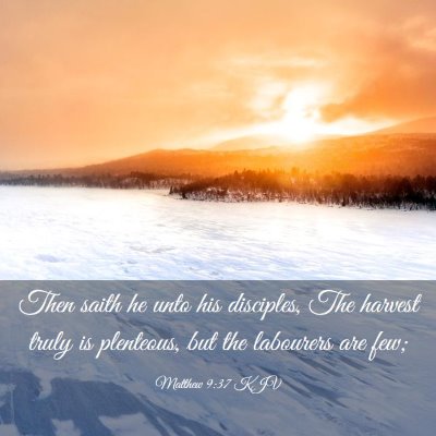 Picture 03 - Matthew 9:37 KJV - Then saith he unto his disciples, The harvest - Bible Verse Picture