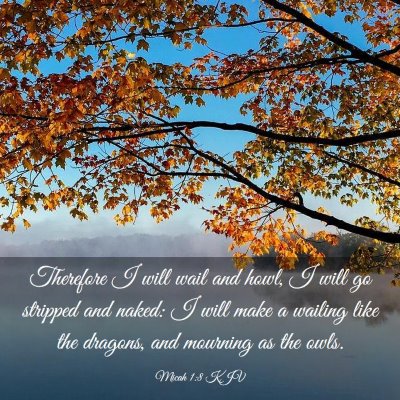 Picture 03 - Micah 1:8 KJV - Therefore I will wail and howl, I will go - Bible Verse Picture