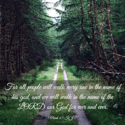 Picture 03 - Micah 4:5 KJV - For all people will walk every one in the name of - Bible Verse Picture