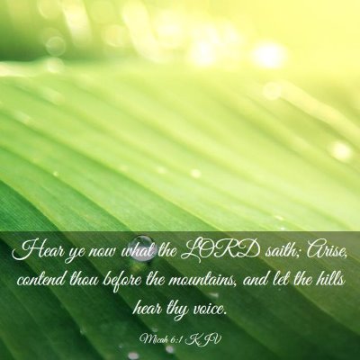 Picture 03 - Micah 6:1 KJV - Hear ye now what the LORD saith; Arise, contend - Bible Verse Picture