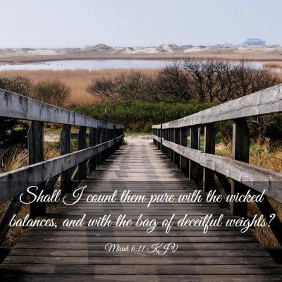 Picture 03 - Micah 6:11 KJV - Shall I count them pure with the wicked balances, - Bible Verse Picture
