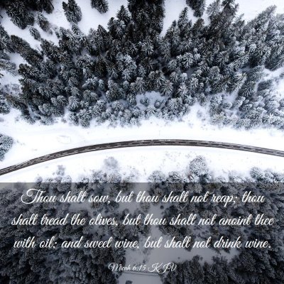 Picture 03 - Micah 6:15 KJV - Thou shalt sow, but thou shalt not reap; thou - Bible Verse Picture