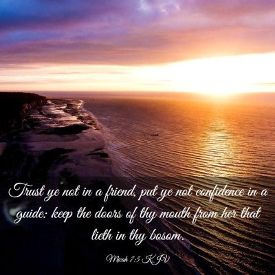 Picture 03 - Micah 7:5 KJV - Trust ye not in a friend, put ye not confidence - Bible Verse Picture