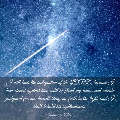 Picture 03 - Micah 7:9 KJV - I will bear the indignation of the LORD, because - Bible Verse Picture