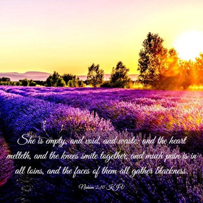 Picture 03 - Nahum 2:10 KJV - She is empty, and void, and waste: and the heart - Bible Verse Picture