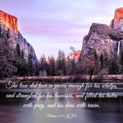 Picture 03 - Nahum 2:12 KJV - The lion did tear in pieces enough for his - Bible Verse Picture