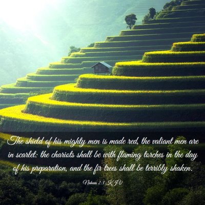 Picture 03 - Nahum 2:3 KJV - The shield of his mighty men is made red, the - Bible Verse Picture
