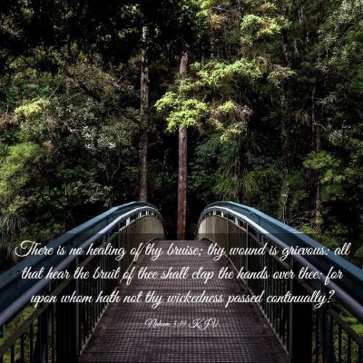 Picture 03 - Nahum 3:19 KJV - There is no healing of thy bruise; thy wound is - Bible Verse Picture