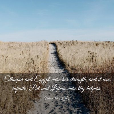 Picture 03 - Nahum 3:9 KJV - Ethiopia and Egypt were her strength, and it was - Bible Verse Picture
