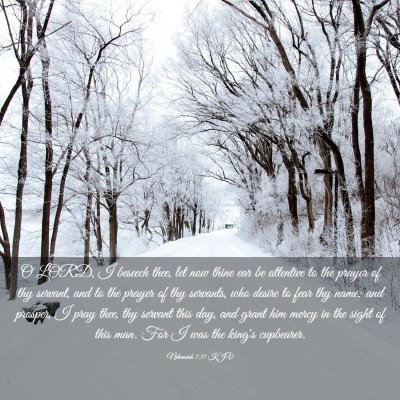 Picture 03 - Nehemiah 1:11 KJV - O LORD, I beseech thee, let now thine ear be - Bible Verse Picture