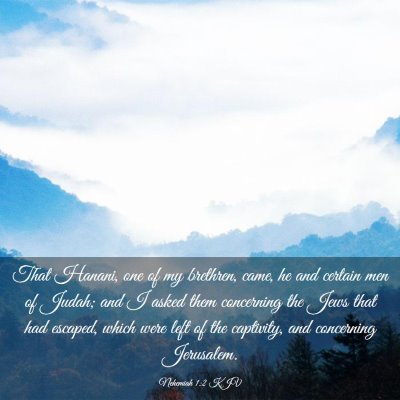 Picture 03 - Nehemiah 1:2 KJV - That Hanani, one of my brethren, came, he and - Bible Verse Picture