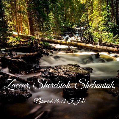 Picture 03 - Nehemiah 10:12 KJV - Zaccur, Sherebiah, - Bible Verse Picture