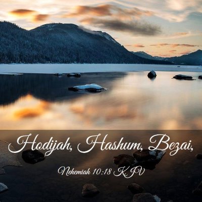 Picture 03 - Nehemiah 10:18 KJV - Hodijah, Hashum, - Bible Verse Picture