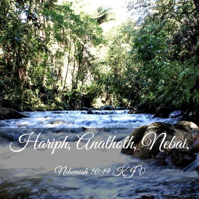 Picture 03 - Nehemiah 10:19 KJV - Hariph, Anathoth, - Bible Verse Picture