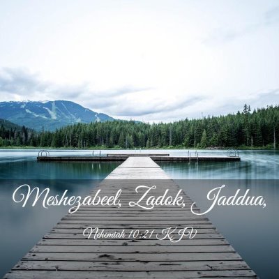 Picture 03 - Nehemiah 10:21 KJV - Meshezabeel, Zadok, - Bible Verse Picture