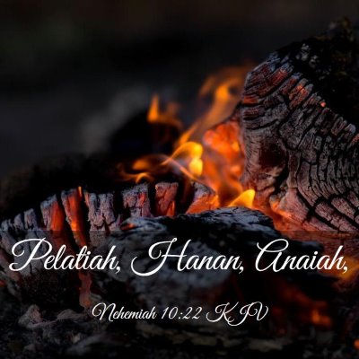 Picture 03 - Nehemiah 10:22 KJV - Pelatiah, Hanan, - Bible Verse Picture