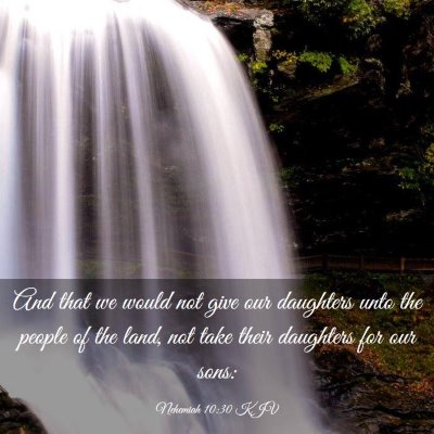 Picture 03 - Nehemiah 10:30 KJV - And that we would not give our daughters unto the - Bible Verse Picture