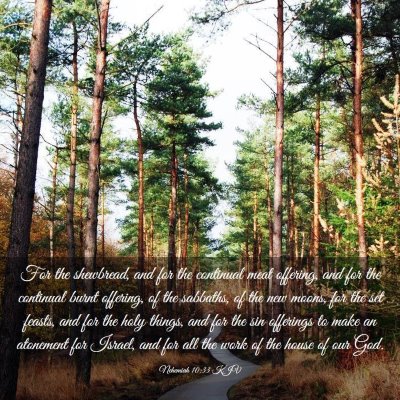 Picture 03 - Nehemiah 10:33 KJV - For the shewbread, and for the continual meat - Bible Verse Picture