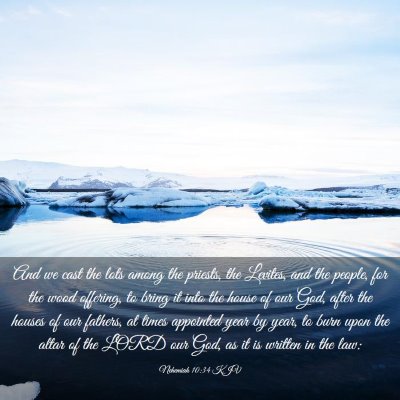 Picture 03 - Nehemiah 10:34 KJV - And we cast the lots among the priests, the - Bible Verse Picture