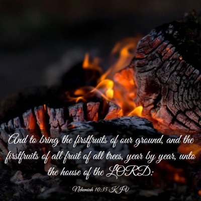 Picture 03 - Nehemiah 10:35 KJV - And to bring the firstfruits of our ground, and - Bible Verse Picture