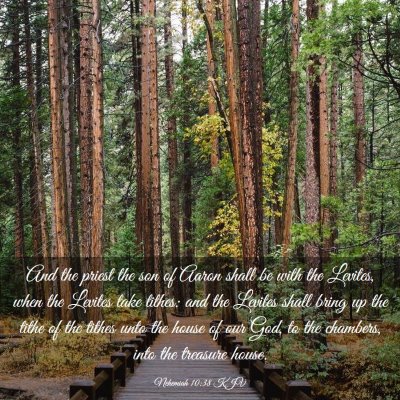 Picture 03 - Nehemiah 10:38 KJV - And the priest the son of Aaron shall be with the - Bible Verse Picture