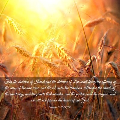 Picture 03 - Nehemiah 10:39 KJV - For the children of Israel and the children of - Bible Verse Picture