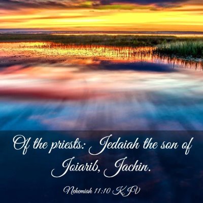 Picture 03 - Nehemiah 11:10 KJV - Of the priests: Jedaiah the son of Joiarib, - Bible Verse Picture
