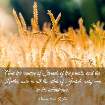 Picture 03 - Nehemiah 11:20 KJV - And the residue of Israel, of the priests, and - Bible Verse Picture