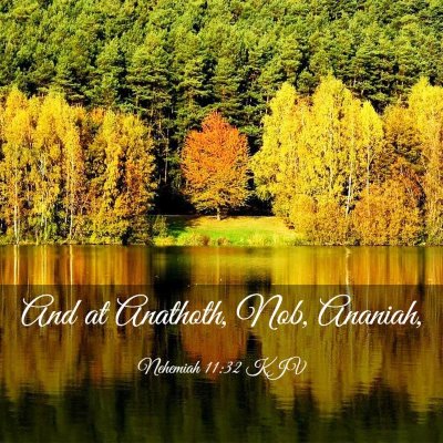 Picture 03 - Nehemiah 11:32 KJV - And at Anathoth, Nob, - Bible Verse Picture