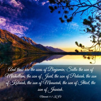 Picture 03 - Nehemiah 11:7 KJV - And these are the sons of Benjamin; Sallu the son - Bible Verse Picture