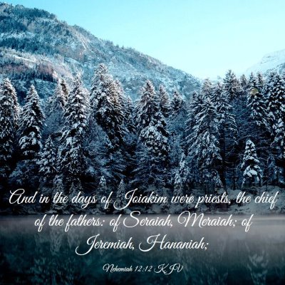 Picture 03 - Nehemiah 12:12 KJV - And in the days of Joiakim were priests, the - Bible Verse Picture