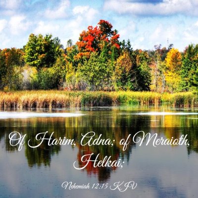 Picture 03 - Nehemiah 12:15 KJV - Of Harim, Adna; of Meraioth, - Bible Verse Picture