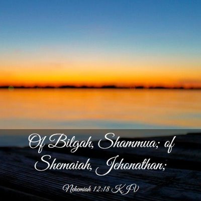 Picture 03 - Nehemiah 12:18 KJV - Of Bilgah, Shammua; of Shemaiah, - Bible Verse Picture
