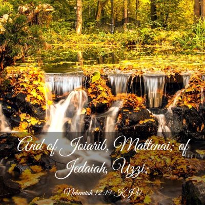 Picture 03 - Nehemiah 12:19 KJV - And of Joiarib, Mattenai; of Jedaiah, - Bible Verse Picture