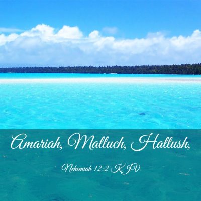 Picture 03 - Nehemiah 12:2 KJV - Amariah, Malluch, - Bible Verse Picture