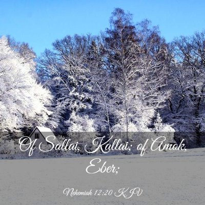 Picture 03 - Nehemiah 12:20 KJV - Of Sallai, Kallai; of Amok, - Bible Verse Picture