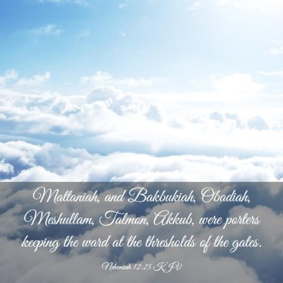 Picture 03 - Nehemiah 12:25 KJV - Mattaniah, and Bakbukiah, Obadiah, Meshullam, - Bible Verse Picture