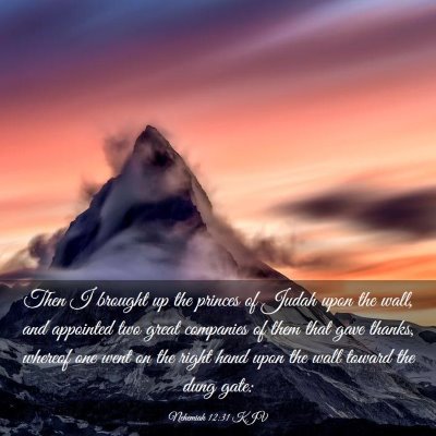 Picture 03 - Nehemiah 12:31 KJV - Then I brought up the princes of Judah upon the - Bible Verse Picture