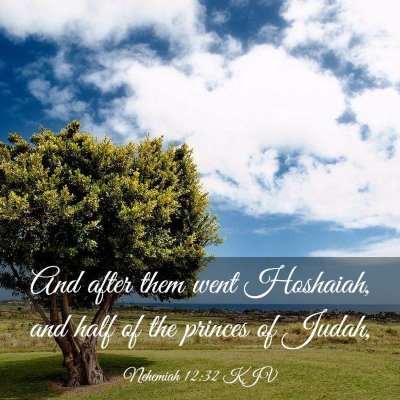 Picture 03 - Nehemiah 12:32 KJV - And after them went Hoshaiah, and half of the - Bible Verse Picture